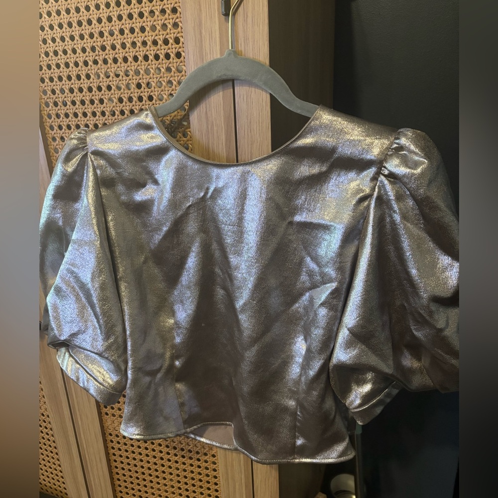Zara Shiny Silver Puff Sleeve Blouse